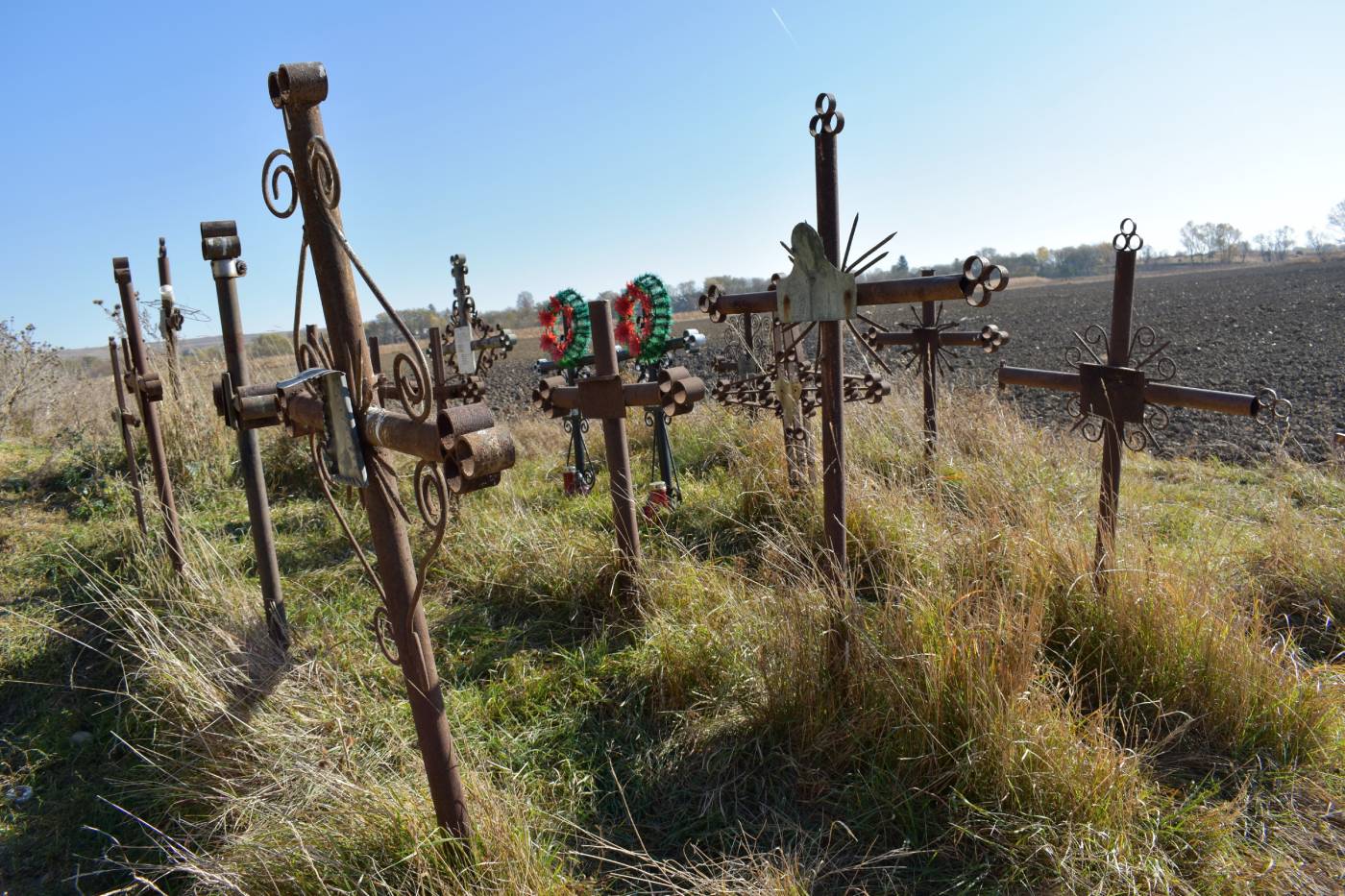 galerie foto carte (12)