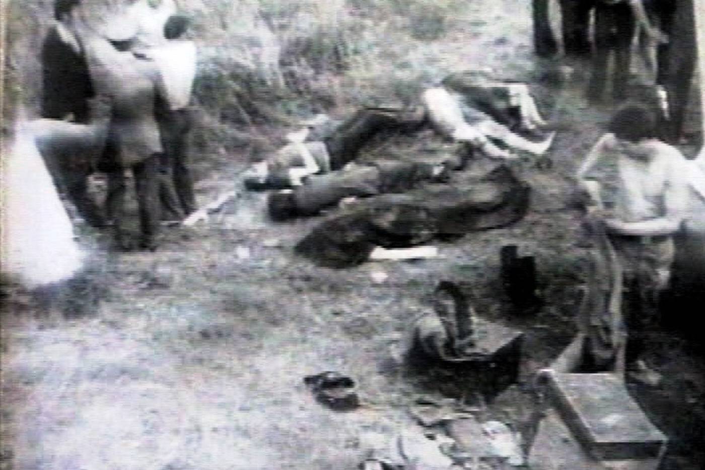 galerie foto carte (17)