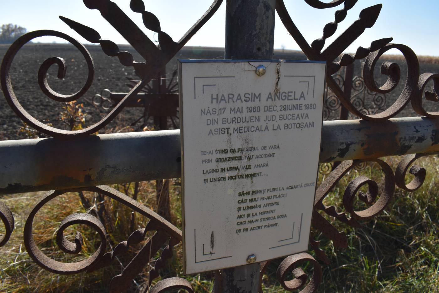 galerie foto carte (24)