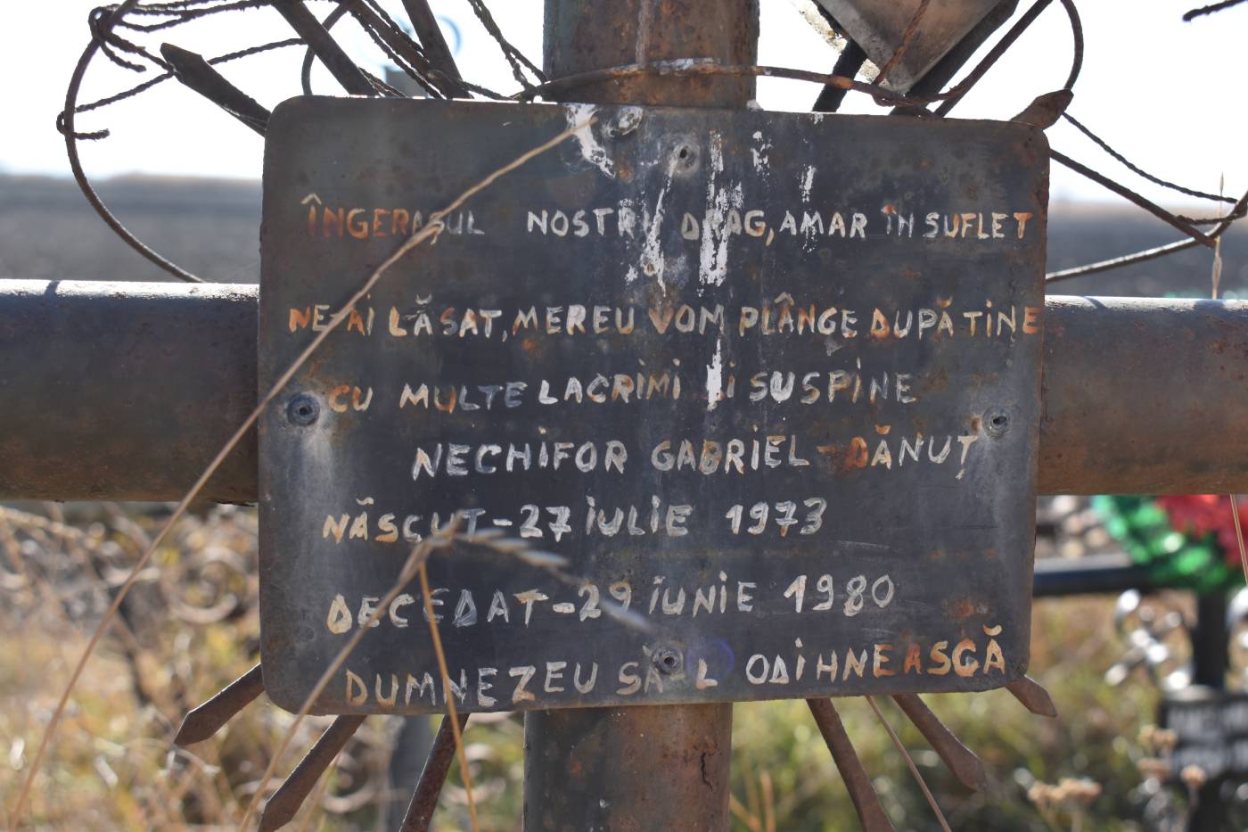 galerie foto carte (25)