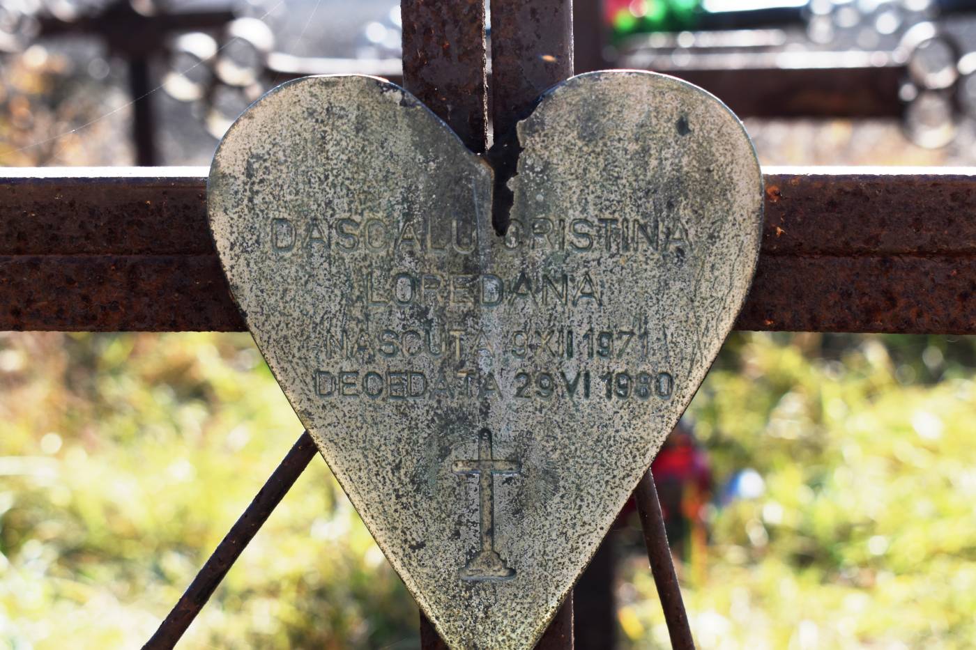 galerie foto carte (28)