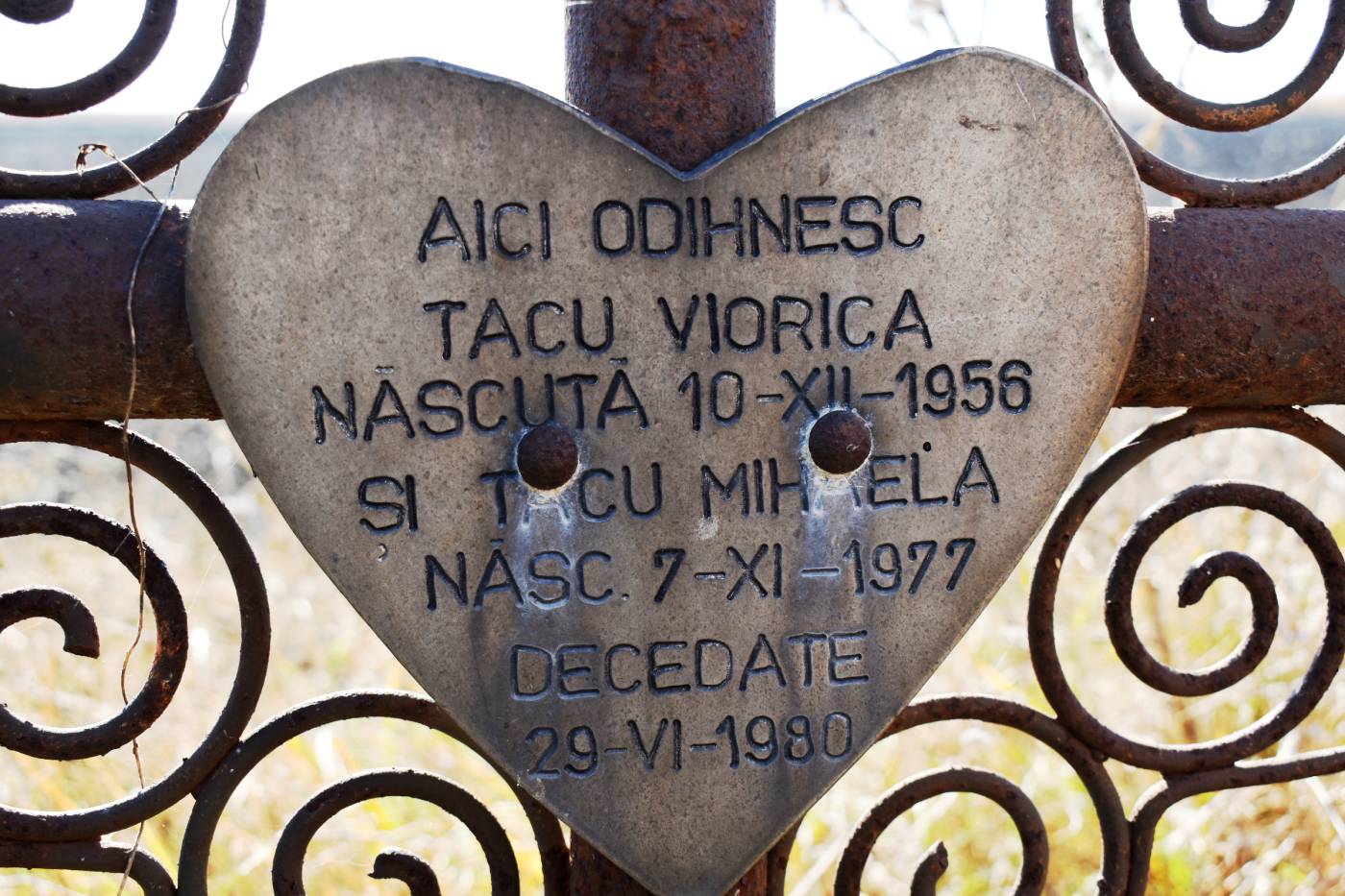 galerie foto carte (29)